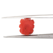 Natural Coral (Moonga) 5.16cts (5.50ratti)